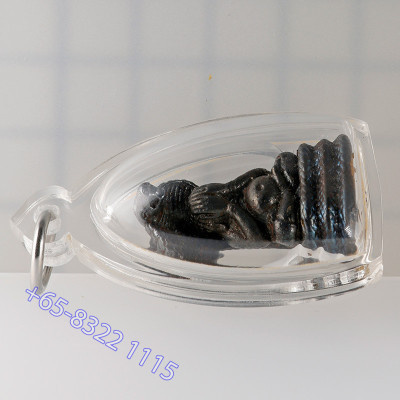 Gold Code S/n:151 Ajahn KhunPan 2546 Phra Pidta LekNamPee 2.8cm