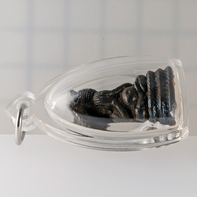 金码编号：151 帕必达小金身，佛历2546，阿赞坤潘加持 LekNamPee 2.8cm