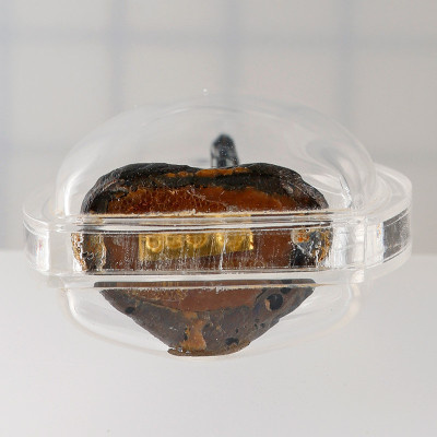 金码编号：151 帕必达小金身，佛历2546，阿赞坤潘加持 LekNamPee 2.8cm