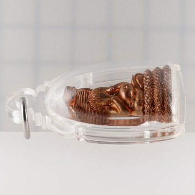 7 Chanting Ceremony Ajahn Khun Pan 2546 Phra Pidta Sata 2.8cm