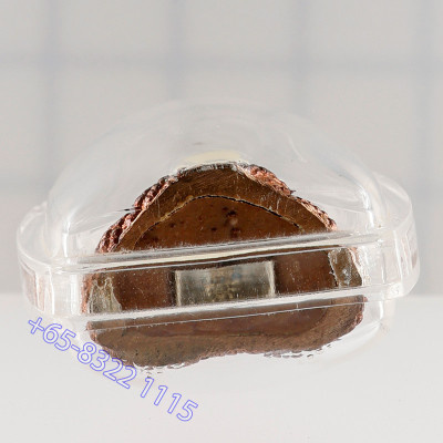 7大型法会，佛历2546，阿赞坤潘加持，帕必达，铜萨塔2.8cm