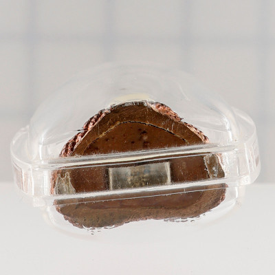 7大型法会，佛历2546，阿赞坤潘加持，帕必达，铜萨塔2.8cm