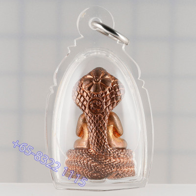 7 Chanting Ceremony Ajahn Khun Pan 2546 Phra Pidta Sata 2.8cm