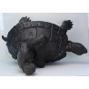 LP Liew 2538 Wealthy Tortoise Statue 35cm Wat RaiTangThong