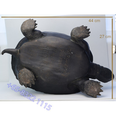 LP Liew 2538 Wealthy Tortoise Statue 35cm Wat RaiTangThong