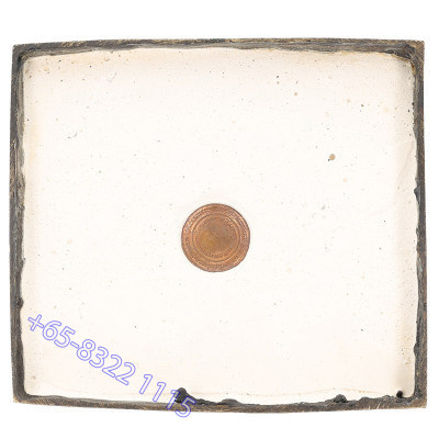 9 著名 僧侣 加持 Wat SamPhao Choei 佛历2552 龙莆托 金身 17cm