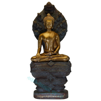 S/n:22 Ajahn Plian B.E.2563 Phra NakProk Statue 31cm Saturday Buddha