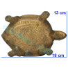 龙莆 刘 87 岁 佛历2532 招财 龟 金身 16cm Wat RaiTangThong