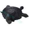 LP Liew Wat RaiTangThong B.E.2538 Wealth Tortoise Statue 35cm