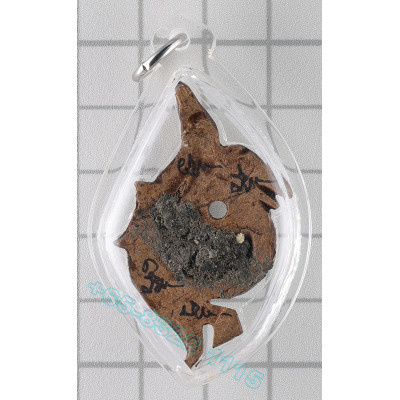 阿赞 MoNak 佛历2540 至 2544 增魅力 人缘招财鸟 独眼椰子 4cm