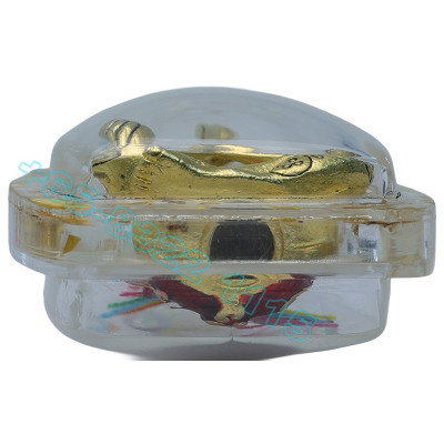 LP Nien B.E.2567 SaoHa HoonPaYong, Gold Plated LongYa 2.5cm