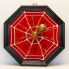 Shop ShowCase