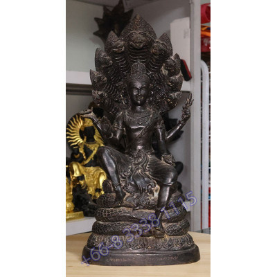 Statue ShowCase