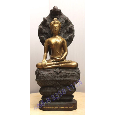 Statue ShowCase