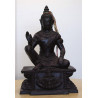 Statue ShowCase