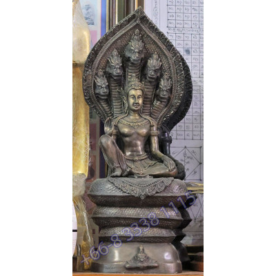 Statue ShowCase