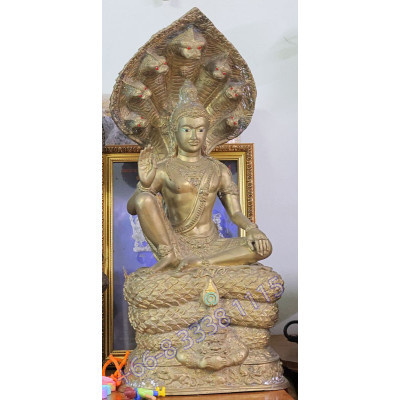 Statue ShowCase