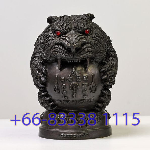 025A2216-tiger-55